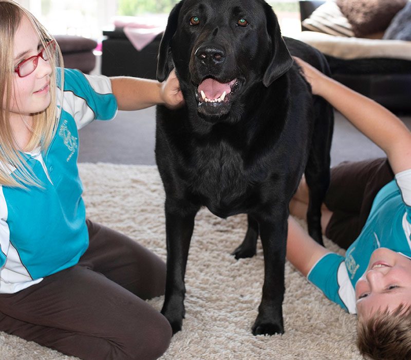 Kids Dog