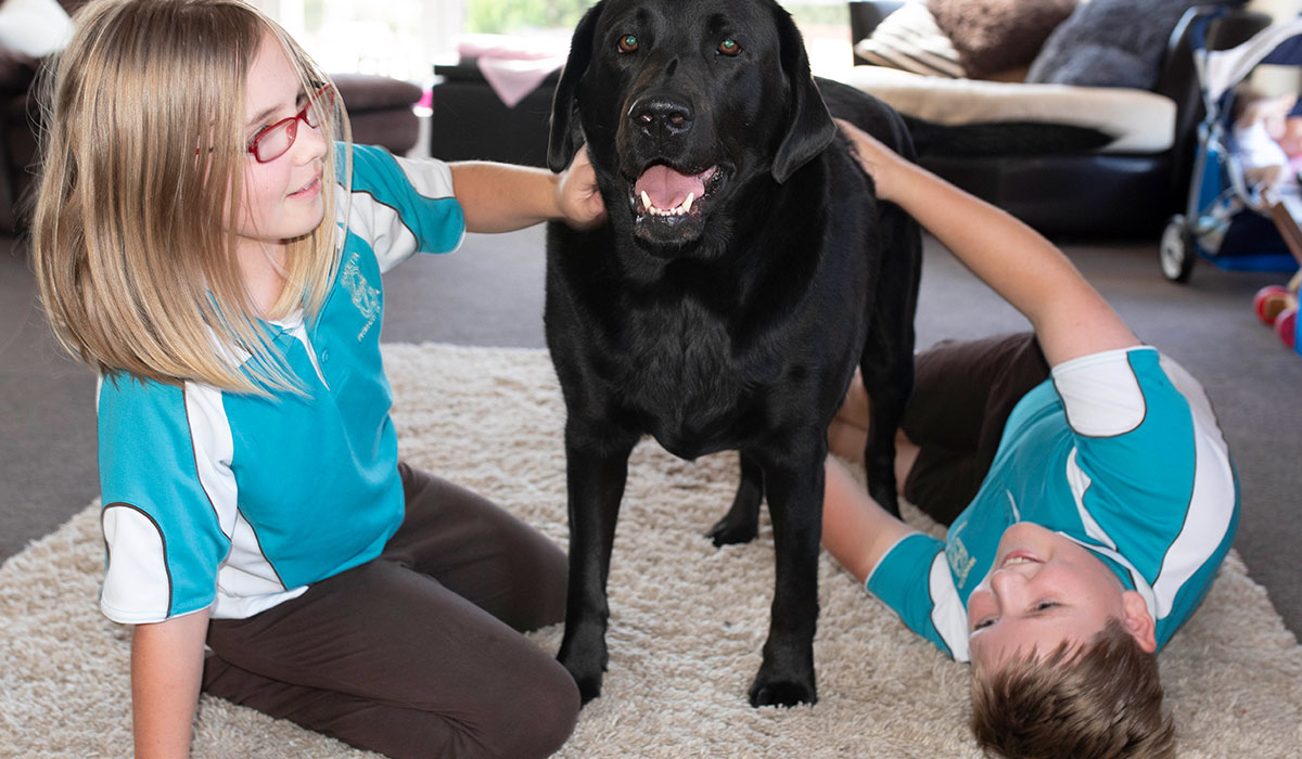 Max and Riley - Guide Dogs Tasmania