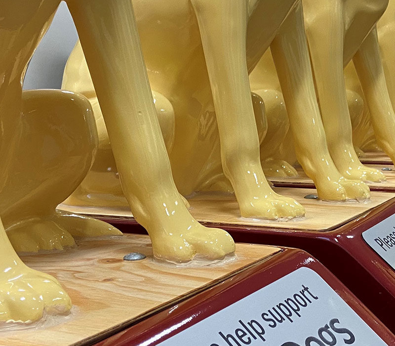 a line of feet of collection model dogs
