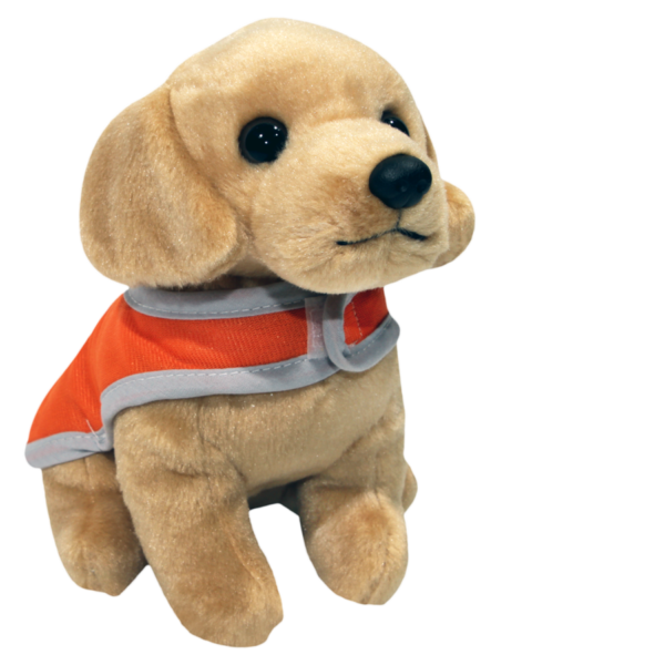 toy dog in orange training coat