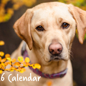 2026 Wall Calendar