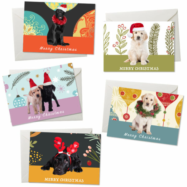 Christmas cards with five designs