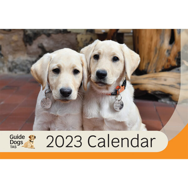 We Rate Dogs 2023 Calendar