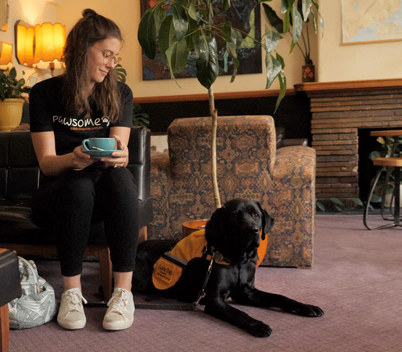 lady and guide dog in training in a hotel