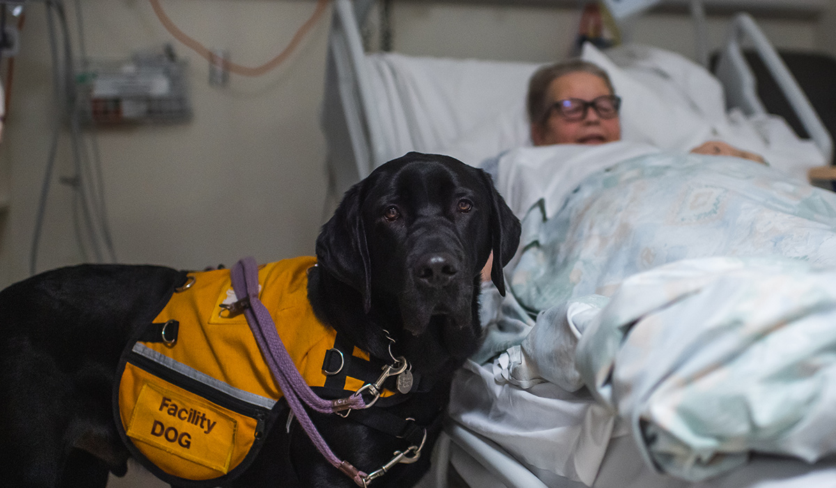 dog standing next to a patient in a hospital bed