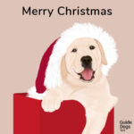 illustration of a puppy wearing a Santa hat in a box