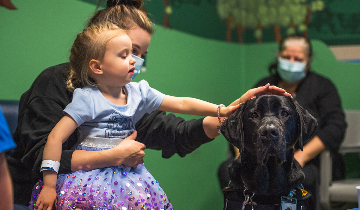 little girl patting dog