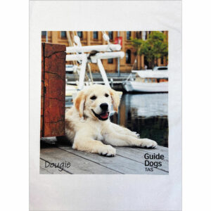 Tea towel with photo of yellow dog, Dougie on a jetty with Guide Dogs Tasmania logo