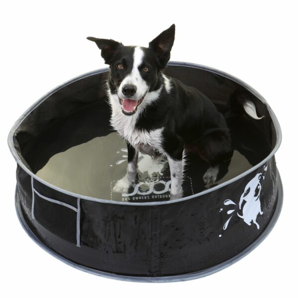 dog in a black dog pool