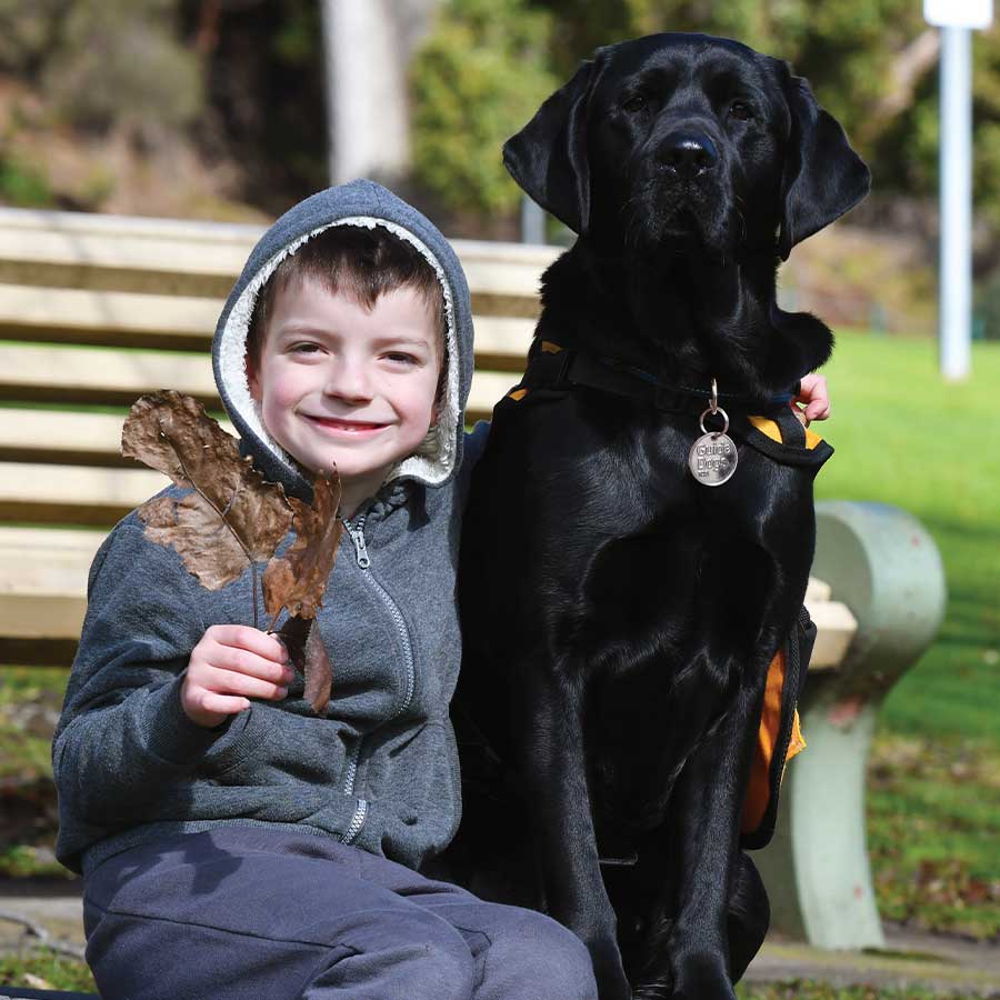 what do autism assistance dogs do