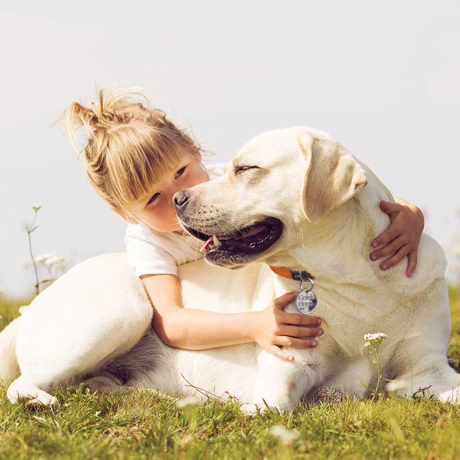 little girl cuddling a labrador