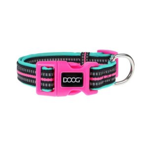 black, pink and teal collar