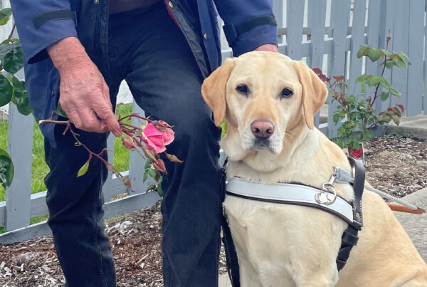 Guide Dog Handler showing his Guide Dog a rose