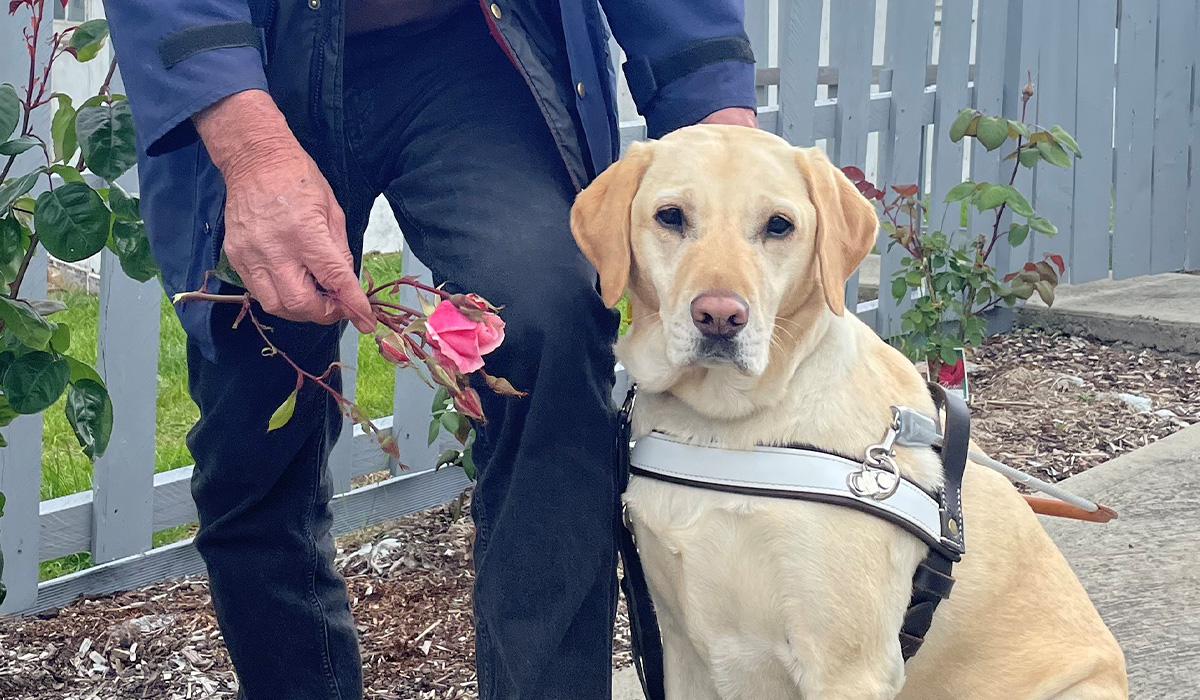 Guide Dog Handler showing his Guide Dog a rose