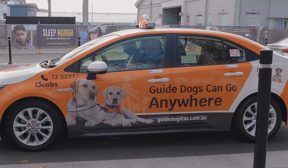 taxi with guide dogs can go anywhere