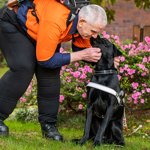 guide dog and handler