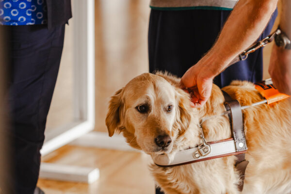 GuideDogsTas-Graduation-Ceremony-2025-SileoMedia-1