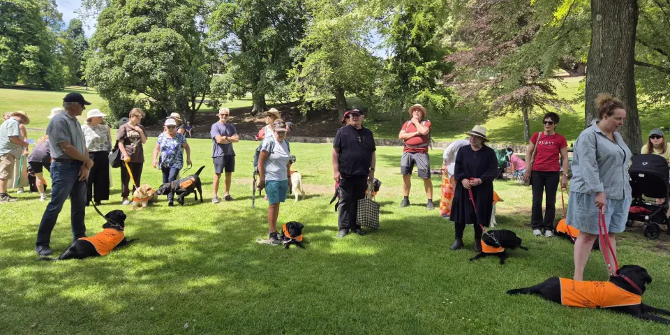 group of volunteers with guide dog pups in training