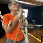 Volunteer Lindy and Guide Dog in Training Peanut having a cuddle at the quiz night